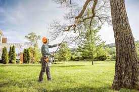 Best Soil Testing and Treatment  in Wallington, NJ